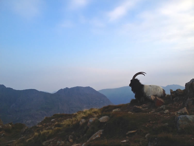 Climb Snowdon - Am Yr Wyddfa