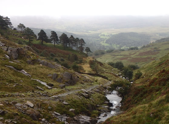 Taith Yr Wyddfa - Llwybr Watkin